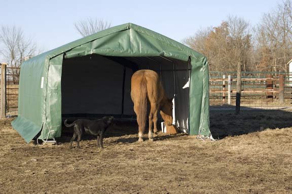 Livestock shelters run in