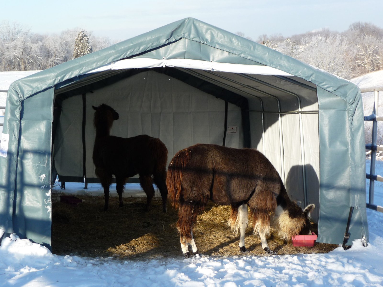 Livestock shelters