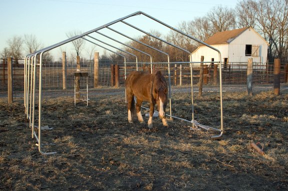 Livestock shelters frame