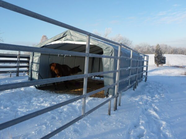 Livestock shelters horse run in