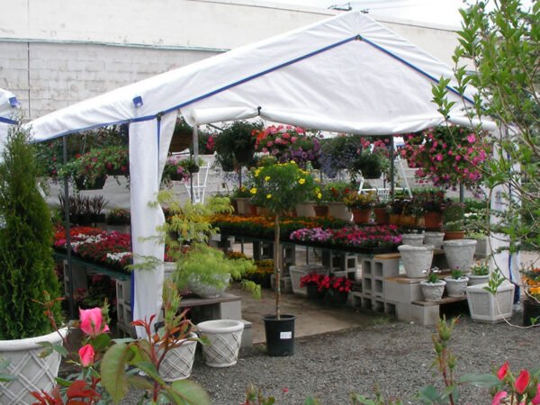 garden canopy