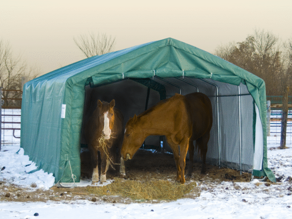 Livestock shelters horse run in